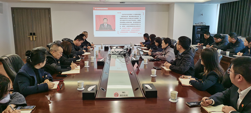 集團(tuán)黨委委員、副總經(jīng)理賀維維同志講授專題黨課